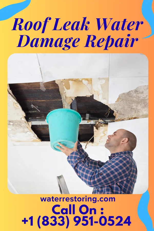 Roof Leak Water Damage Repair in Wolverine, MI
