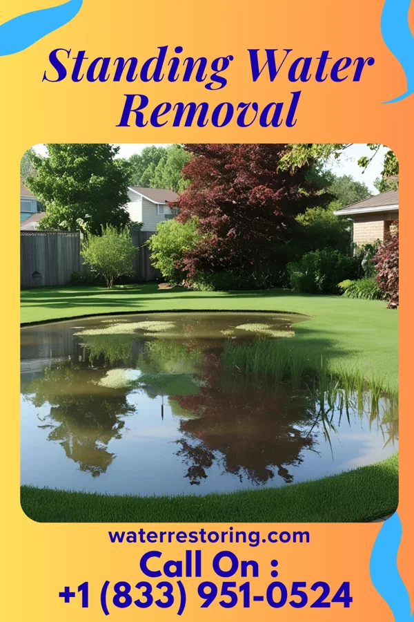 Standing Water Removal in Wolverine, MI
